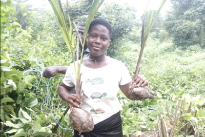 Agrandir l'image 6 sur 6, fenêtre modale